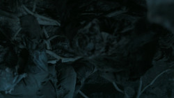 extant_GameOfThrones_6x05-TheDoor_5563