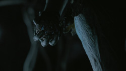 extant_GameOfThrones_6x05-TheDoor_5579