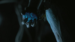 extant_GameOfThrones_6x05-TheDoor_5580