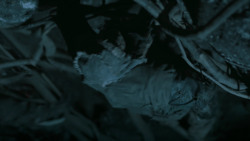 extant_GameOfThrones_6x05-TheDoor_5583