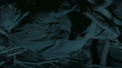extant_GameOfThrones_6x05-TheDoor_5584
