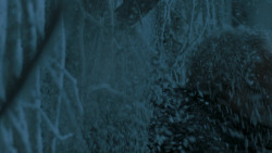 extant_GameOfThrones_6x05-TheDoor_5788