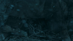extant_GameOfThrones_6x05-TheDoor_5816