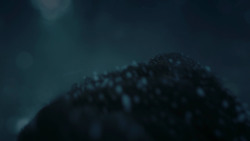 extant_GameOfThrones_6x06-BloodOfMyBlood_0415