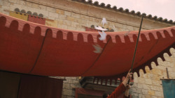 extant_GameOfThrones_6x06-BloodOfMyBlood_2407