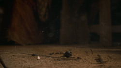 extant_GameOfThrones_6x06-BloodOfMyBlood_3168