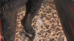 extant_GameOfThrones_6x06-BloodOfMyBlood_5098