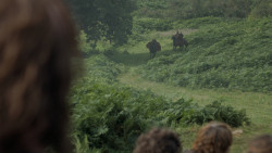extant_GameOfThrones_6x07-TheBrokenMan_4398
