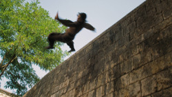 extant_GameOfThrones_6x07-TheBrokenMan_4843
