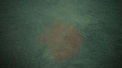 extant_GameOfThrones_6x07-TheBrokenMan_4864