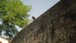 extant_GameOfThrones_6x07-TheBrokenMan_4875
