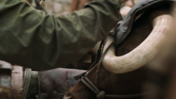 extant_GameOfThrones_6x08-NoOne_0826