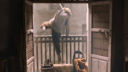 extant_GameOfThrones_6x08-NoOne_5360
