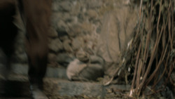 extant_GameOfThrones_6x08-NoOne_5423