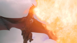 extant_GameOfThrones_6x09-BattleOfTheBastards_0733