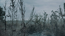 extant_GameOfThrones_6x09-BattleOfTheBastards_1031