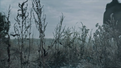 extant_GameOfThrones_6x09-BattleOfTheBastards_1032