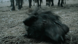 extant_GameOfThrones_6x09-BattleOfTheBastards_1406