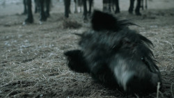 extant_GameOfThrones_6x09-BattleOfTheBastards_1407