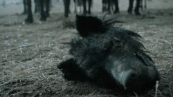 extant_GameOfThrones_6x09-BattleOfTheBastards_1408