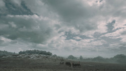 extant_GameOfThrones_6x09-BattleOfTheBastards_1461