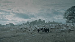 extant_GameOfThrones_6x09-BattleOfTheBastards_1557