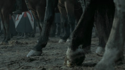 extant_GameOfThrones_6x09-BattleOfTheBastards_3312