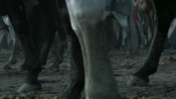 extant_GameOfThrones_6x09-BattleOfTheBastards_3316