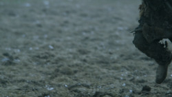extant_GameOfThrones_6x09-BattleOfTheBastards_3588
