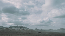 extant_GameOfThrones_6x09-BattleOfTheBastards_3816