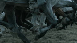 extant_GameOfThrones_6x09-BattleOfTheBastards_3859