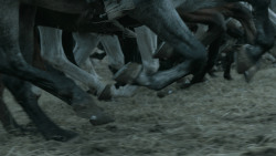 extant_GameOfThrones_6x09-BattleOfTheBastards_3860