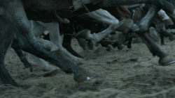 extant_GameOfThrones_6x09-BattleOfTheBastards_3861