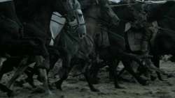 extant_GameOfThrones_6x09-BattleOfTheBastards_3877