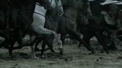 extant_GameOfThrones_6x09-BattleOfTheBastards_3881
