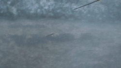 extant_GameOfThrones_6x09-BattleOfTheBastards_4075