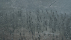 extant_GameOfThrones_6x09-BattleOfTheBastards_4076