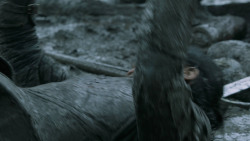 extant_GameOfThrones_6x09-BattleOfTheBastards_4397