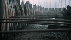 extant_GameOfThrones_6x09-BattleOfTheBastards_4536