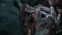 extant_GameOfThrones_6x09-BattleOfTheBastards_4661