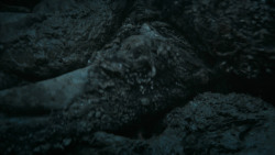 extant_GameOfThrones_6x09-BattleOfTheBastards_4913
