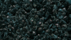 extant_GameOfThrones_6x09-BattleOfTheBastards_4956