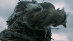 extant_GameOfThrones_6x09-BattleOfTheBastards_4986