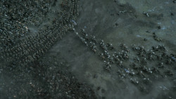 extant_GameOfThrones_6x09-BattleOfTheBastards_5132