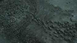 extant_GameOfThrones_6x09-BattleOfTheBastards_5133
