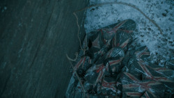 extant_GameOfThrones_6x09-BattleOfTheBastards_5637