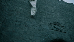 extant_GameOfThrones_6x09-BattleOfTheBastards_5644