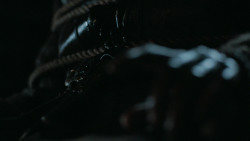 extant_GameOfThrones_6x09-BattleOfTheBastards_5774