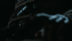 extant_GameOfThrones_6x09-BattleOfTheBastards_5775