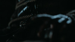 extant_GameOfThrones_6x09-BattleOfTheBastards_5776
